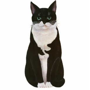 Black and white, bicolor cat - Old illustration Standing Photo Sculpture