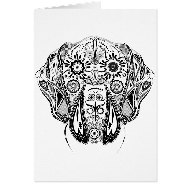 Black and White big dog (Front)