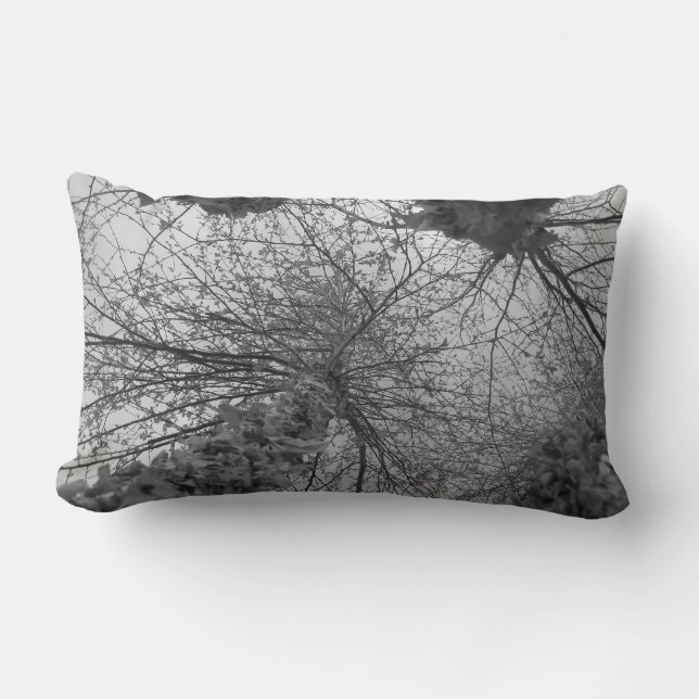 Black and White Birch Tree Lumbar Cushion (Front)