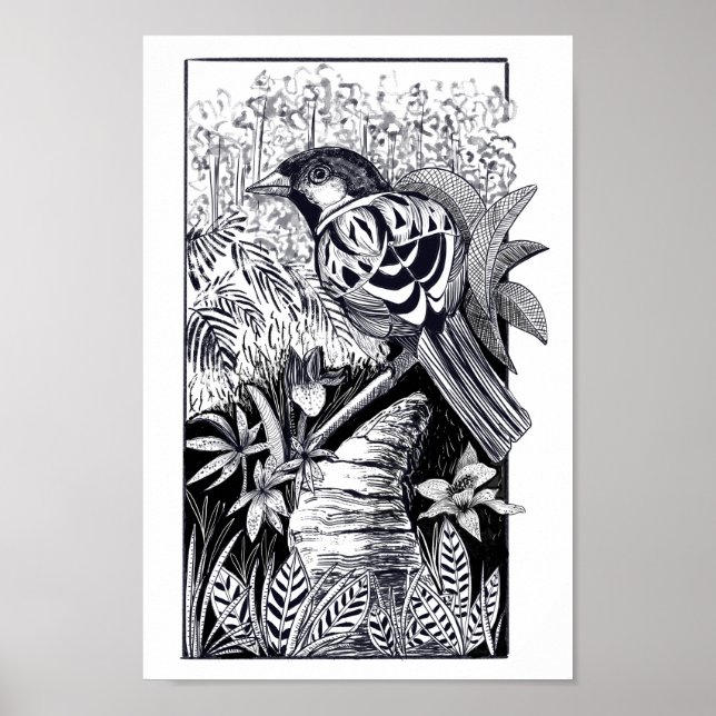 Black and white bird ink drawing  poster (Front)