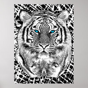 Black And White Blue Eyes Tiger design Poster