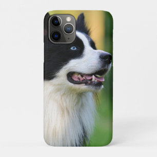 Black and White Border Collie Dog iPhone 11 Pro Case