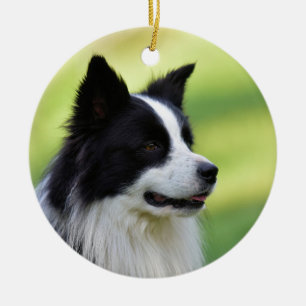 Black and White Border Collie Dog Ceramic Ornament