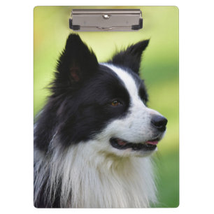 Black and White Border Collie Dog Clipboard