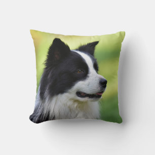 Black and White Border Collie Dog Cushion