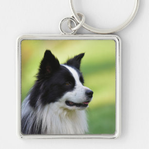 Black and White Border Collie Dog Key Ring