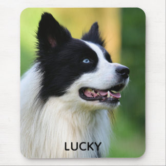 Black and White Border Collie Dog Mouse Pad