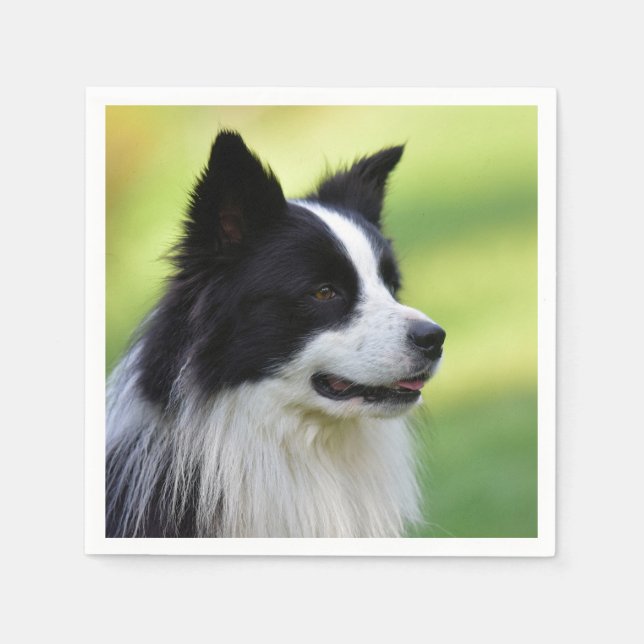 Black and White Border Collie Dog Napkin (Front)