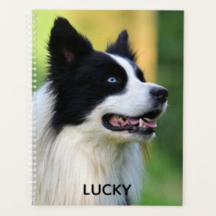 Black and White Border Collie Dog Planner