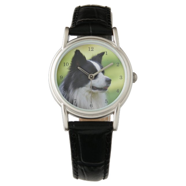 Black and White Border Collie Dog Watch (Front)