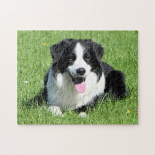Black and White Border Collie Jigsaw Puzzle