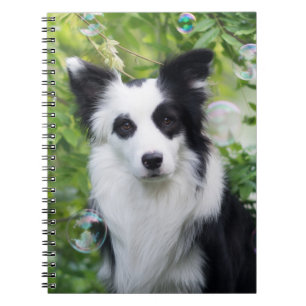 Black and White Border Collie Notebook