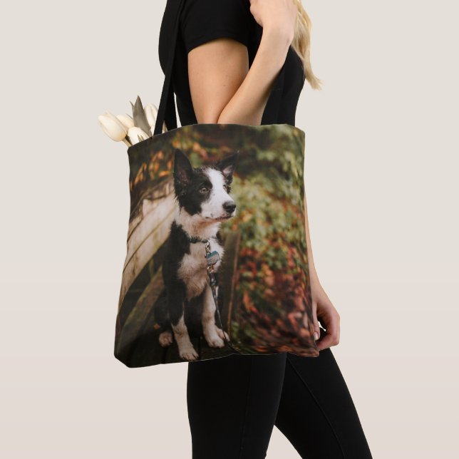 Black and White Border Collie on Park Bench Tote Bag (Close Up)