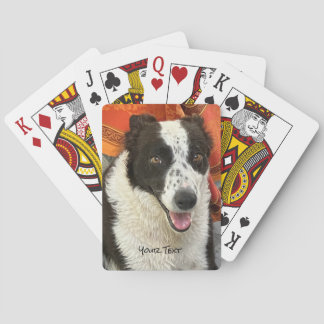 Black and White Border Collie Playing Cards