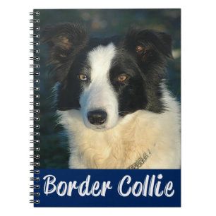 Black And White Border Collie Puppy Dog Journal