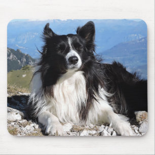 Black And White Border Collie Puppy Dog Mousepad