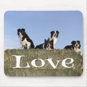 Black And White Border Collie Puppy Dog Mousepad