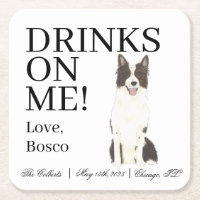 Black and White Border Collie Wedding