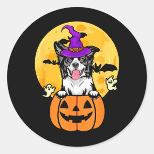 Black And White Border Collie Witch Dog Halloween Classic Round Sticker