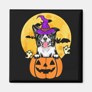 Black And White Border Collie Witch Dog Halloween Magnet