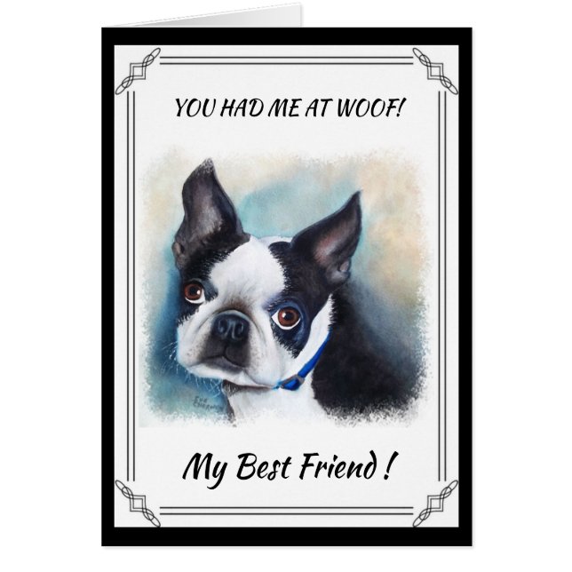 BLACK AND WHITE BOSTON TERRIER (Front)
