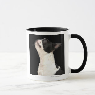 Black and white Boston Terrier looking up Mug