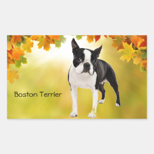 Black and White Boston Terrier Rectangular Sticker