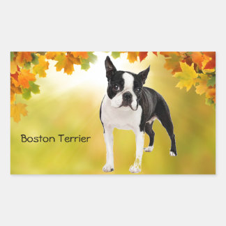 Black and White Boston Terrier Rectangular Sticker