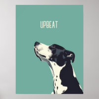 Black and White Boxer