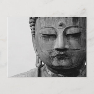 Black and White Buddha Postcard