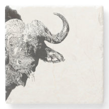 Black and white buffalo