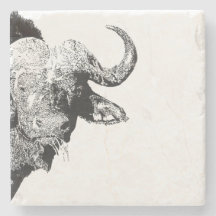 Black and white buffalo