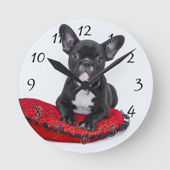 Black and White Bulldog Terrier on Red Pillow Round Clock (Front)
