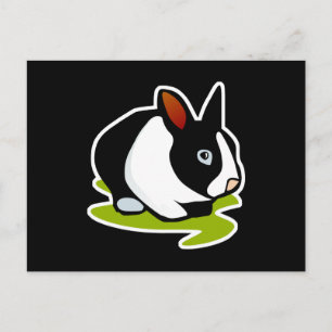 black and white bunny rabbit postcard