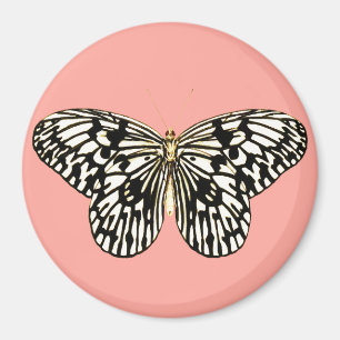 Black and white butterfly,coral pink background magnet