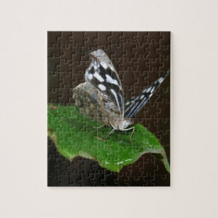 Black and White Butterfly Jigsaw Puzzle