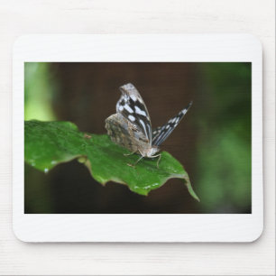 Black and White Butterfly Mouse Pad