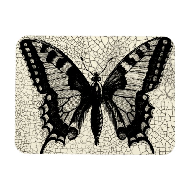 Black and White Butterfly on Cracked Background Magnet (Horizontal)