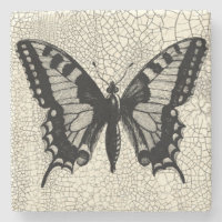 Black and White Butterfly on Cracked Background