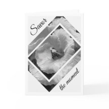 Black and White Butterfly Savour the moment