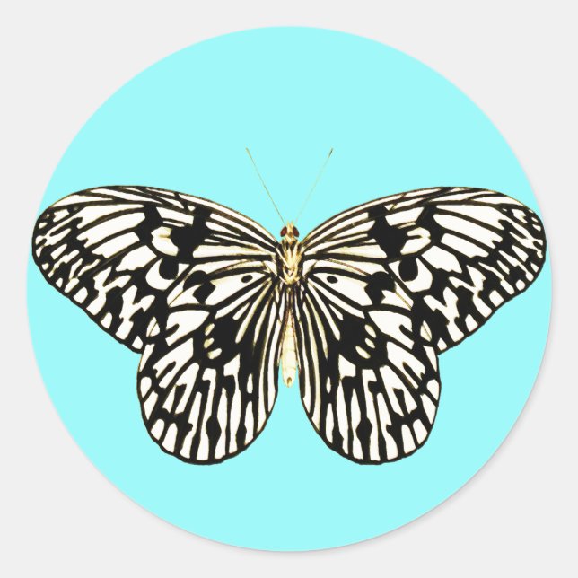 Black and white butterfly, turquoise background classic round sticker (Front)