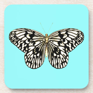 Black and white butterfly, turquoise background coaster