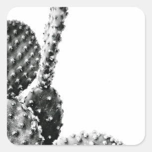Black and White cactus black and blank Square Sticker