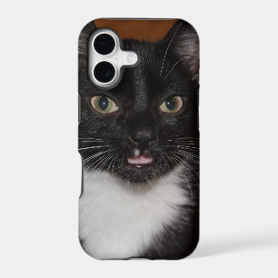 BLACK AND WHITE CAT