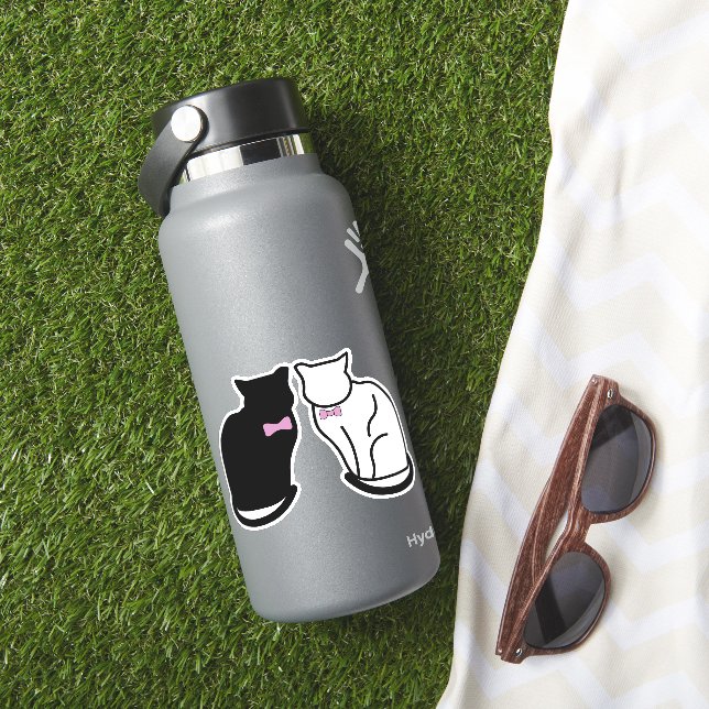 Black and White Cat (HydroFlask Insitu)