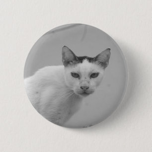 Black and White - Cat 02 6 Cm Round Badge