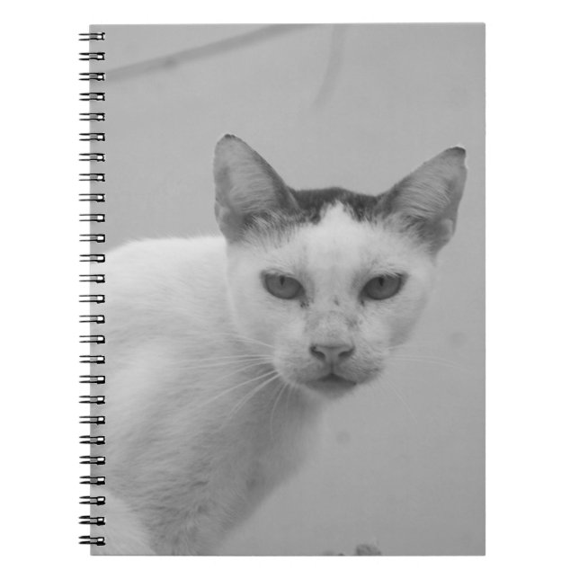 Black and White - Cat 02 Notebook (Front)