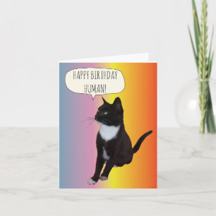 Black and white cat birthday card personalise