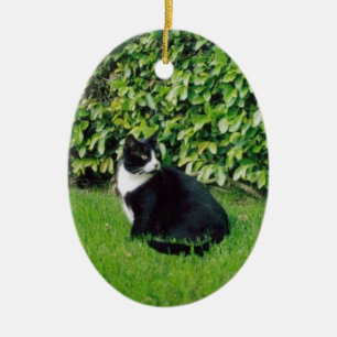 Black and White Cat Ceramic Ornament