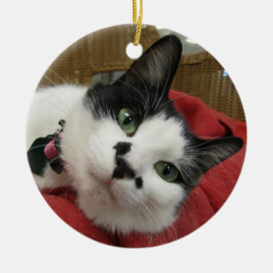 Black and White Cat Ceramic Ornament